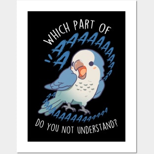 Blue Quaker Parrot Aaaa Posters and Art